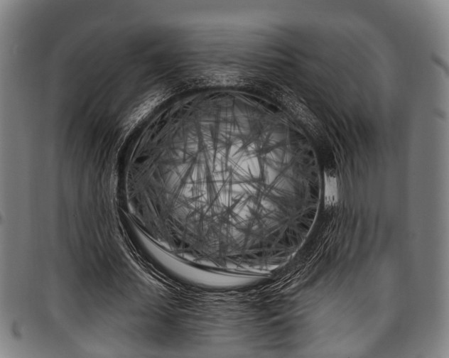 X0000097470627200802291311