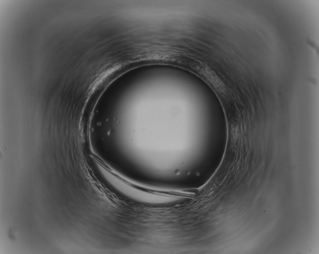 X0000097470628200802291311