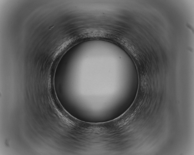 X0000097470629200802291311