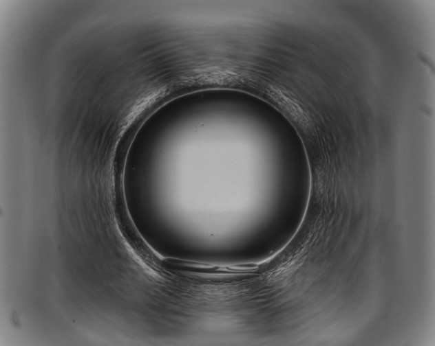 X0000097470630200802291311