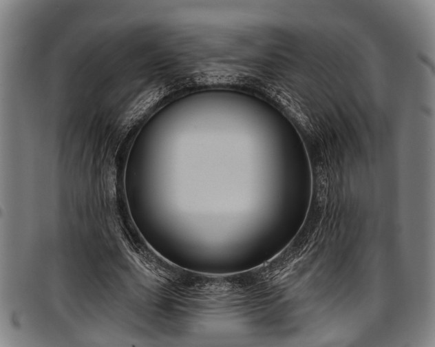 X0000097470631200802291312