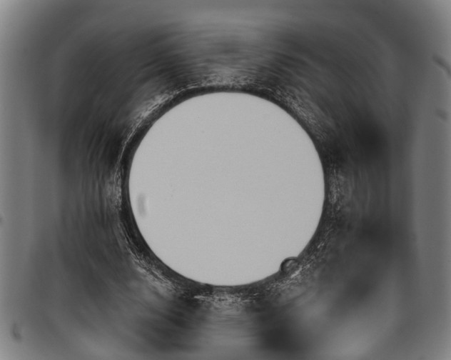 X0000097470632200802291312