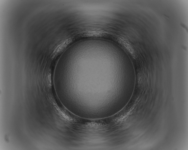 X0000097470633200802291312
