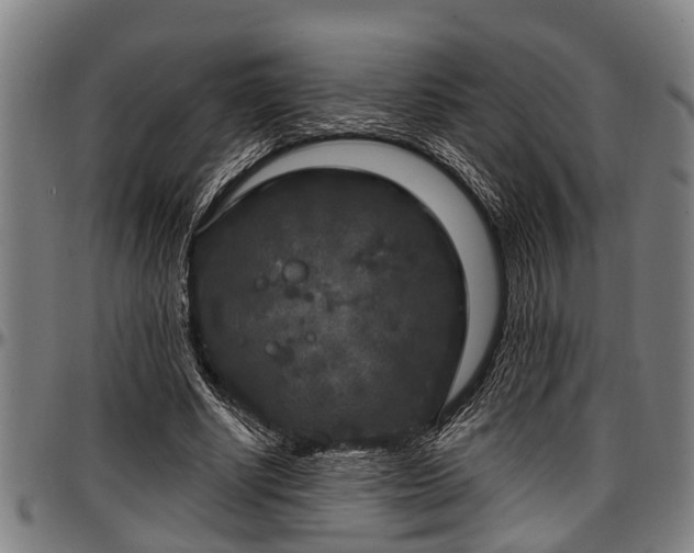 X0000097470634200802291312