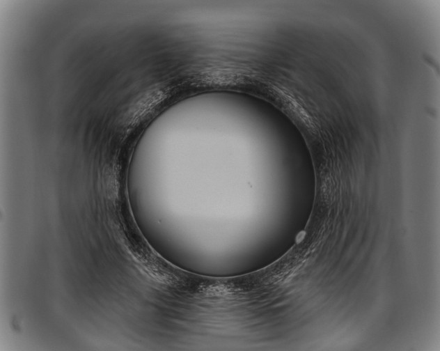 X0000097470635200802291312