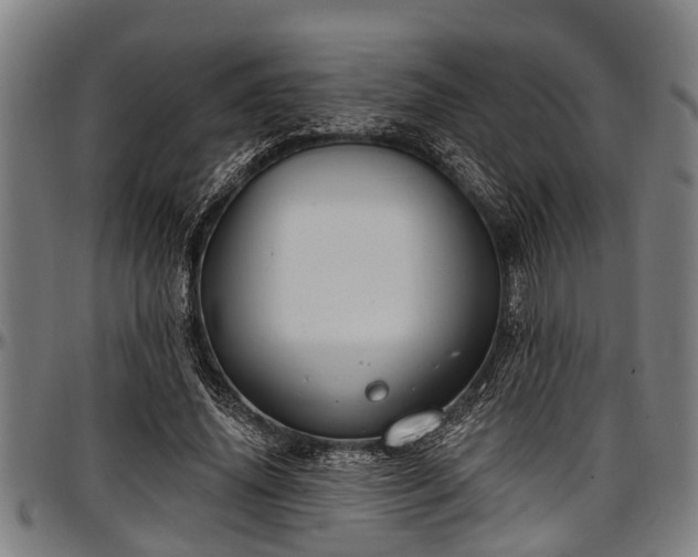 X0000097470636200802291312