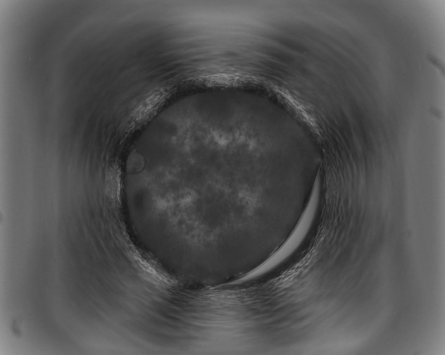 X0000097470637200802291312