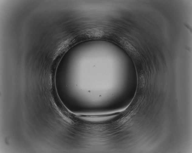 X0000097470638200802291312