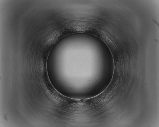 X0000097470639200802291312