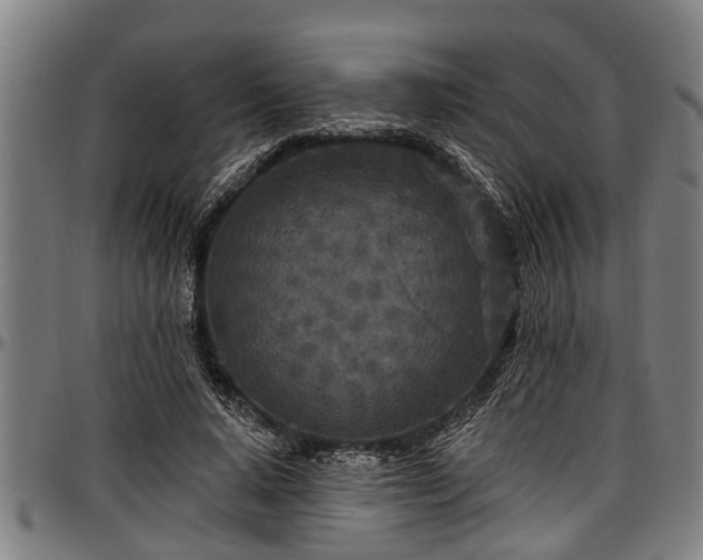 X0000097470640200802291312