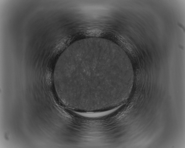X0000097470641200802291312