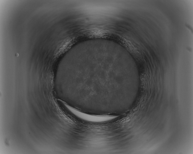 X0000097470642200802291312