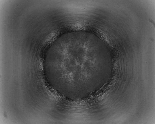 X0000097470643200802291312