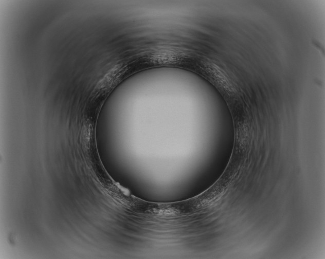 X0000097470645200802291312