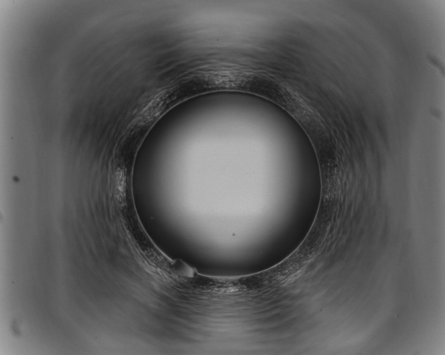 X0000097470646200802291312