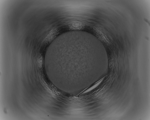 X0000097470647200802291312