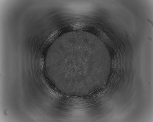 X0000097470648200802291312
