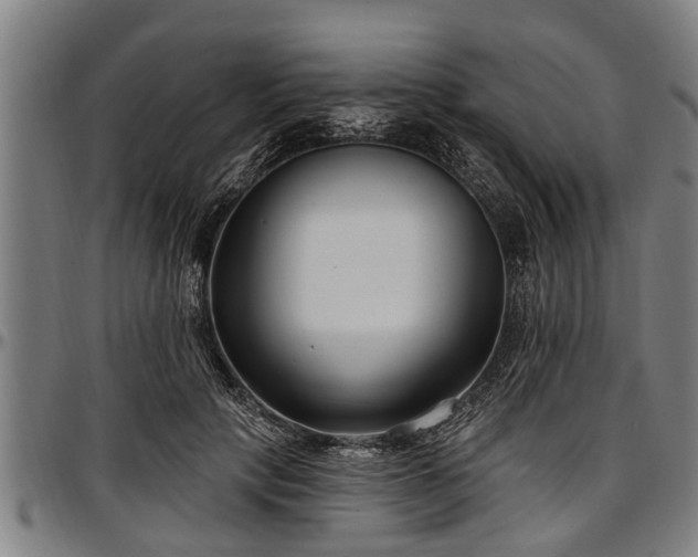 X0000097470649200802291312
