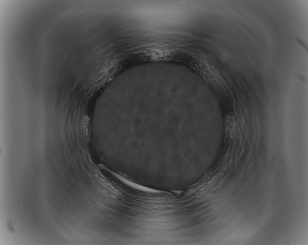 X0000097470650200802291312