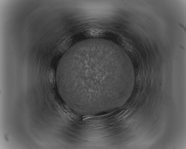 X0000097470651200802291312