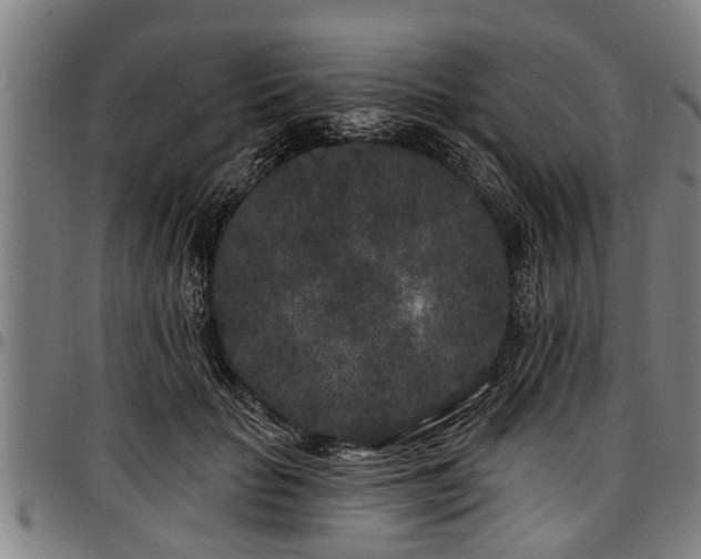 X0000097470653200802291312