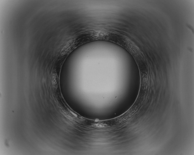 X0000097470654200802291312