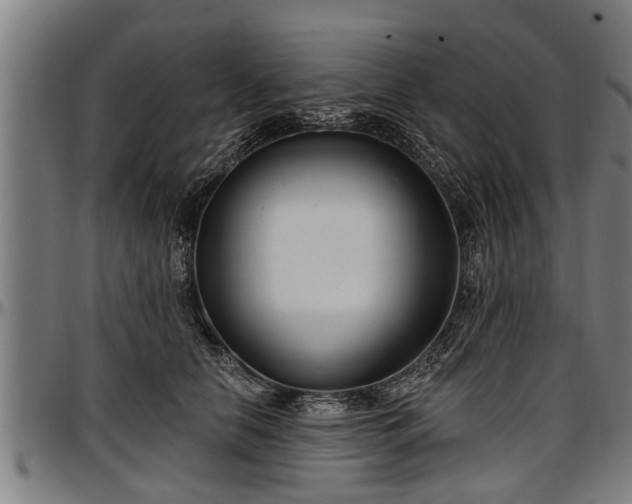 X0000097470658200802291312