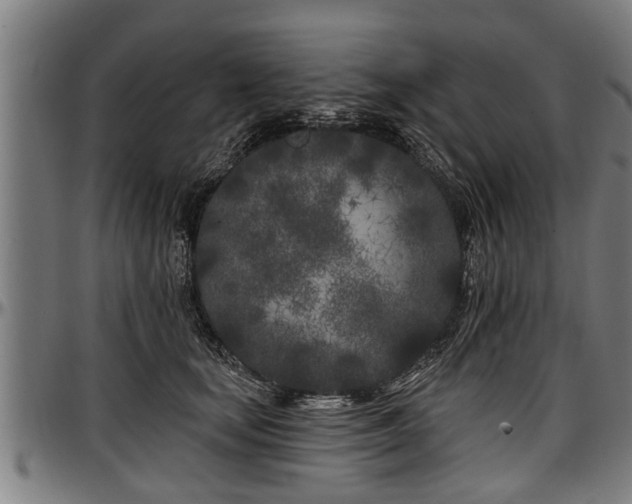 X0000097470659200802291312