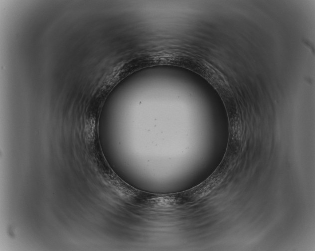 X0000097470660200802291312