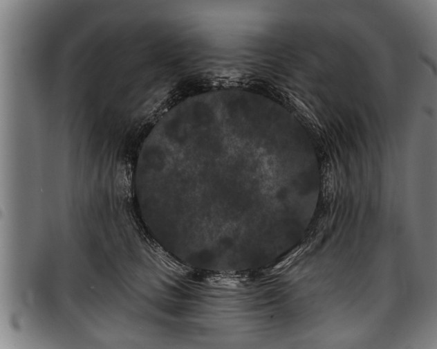 X0000097470661200802291312
