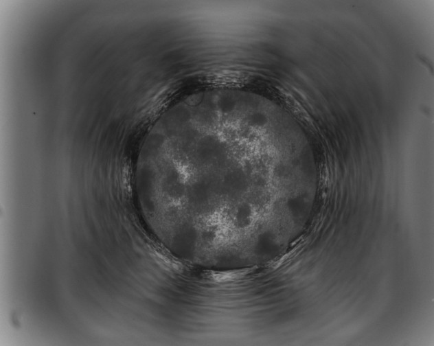 X0000097470663200802291312