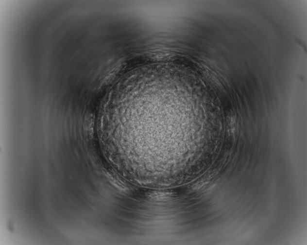 X0000097470664200802291312