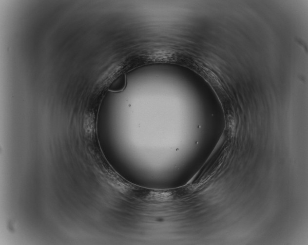 X0000097470665200802291312