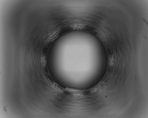 X0000097470666200802291312