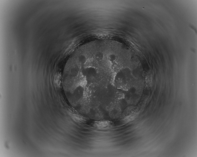 X0000097470671200802291312