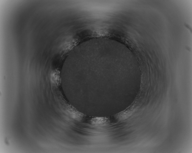 X0000097470672200802291312