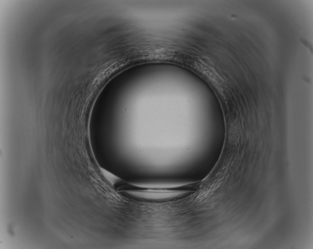 X0000097470673200802291311