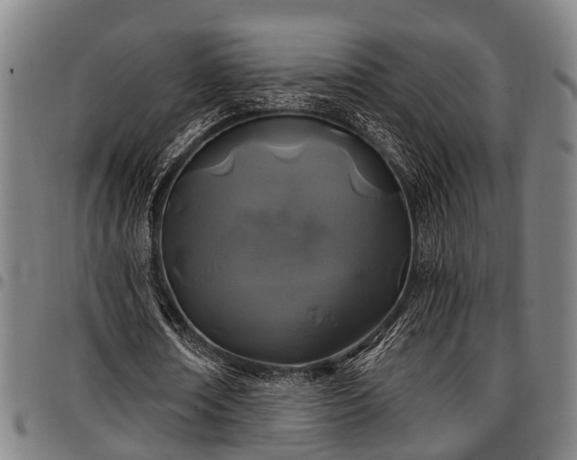 X0000097470674200802291311
