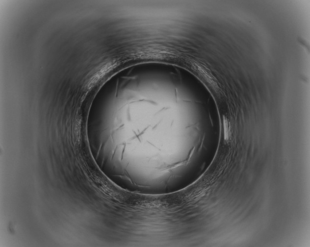 X0000097470675200802291311