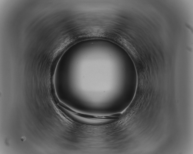 X0000097470677200802291311