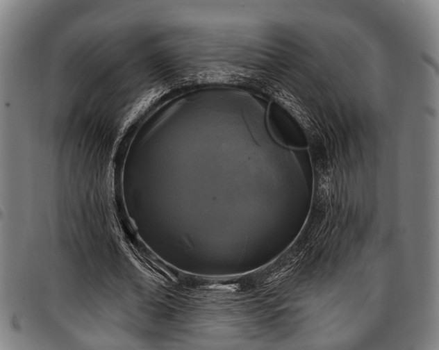 X0000097470678200802291311