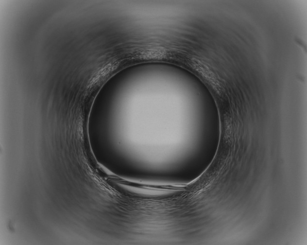 X0000097470681200802291311