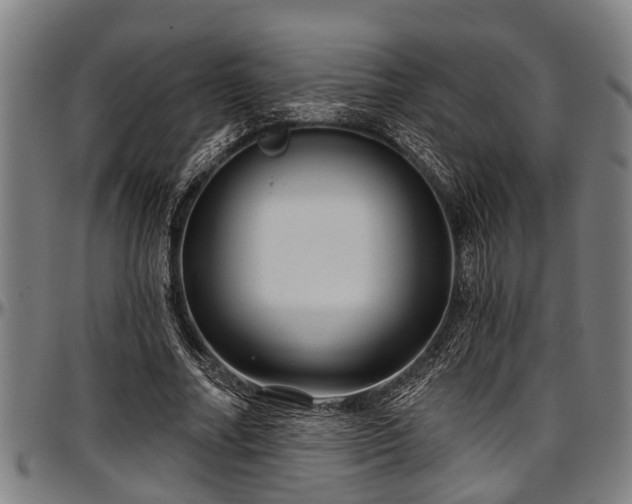 X0000097470682200802291311