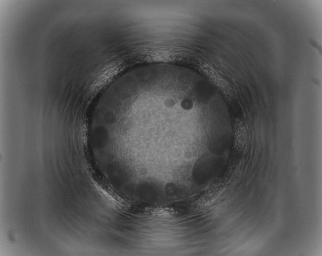 X0000097470683200802291311