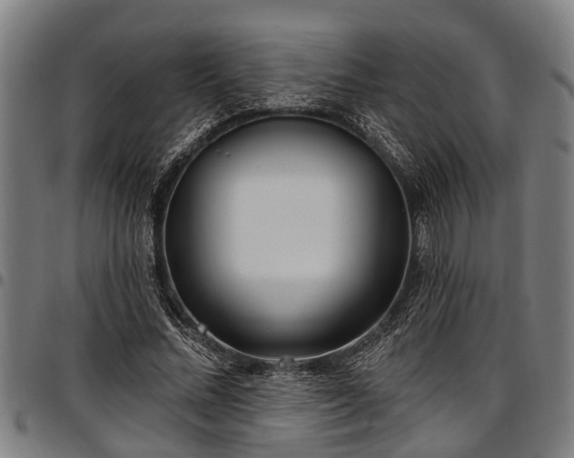 X0000097470684200802291311
