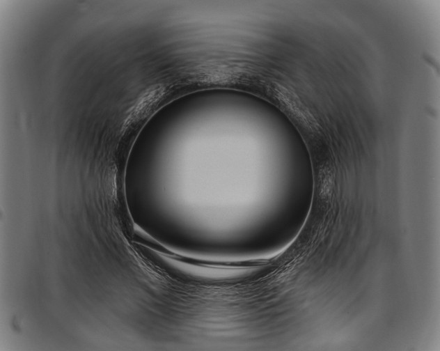 X0000097470685200802291311