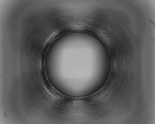 X0000097470686200802291311