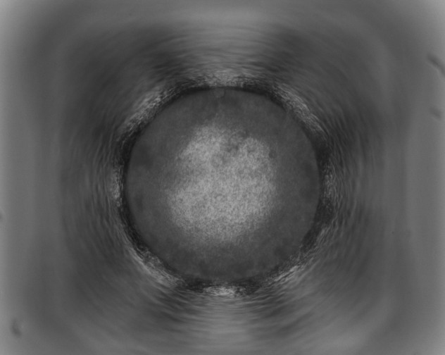 X0000097470687200802291311