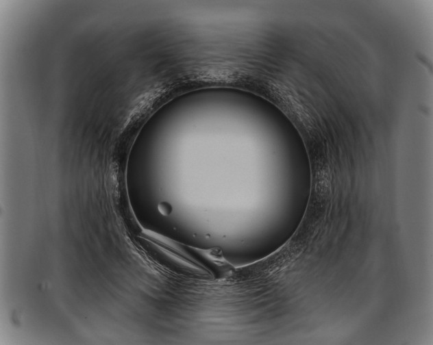 X0000097470688200802291311