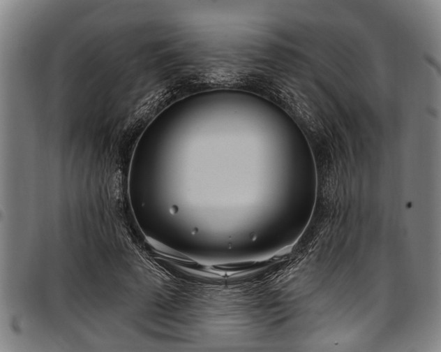 X0000097470689200802291311
